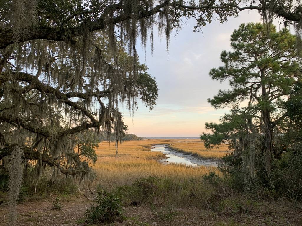 Wooded coastal land with moss-draped live oaks and pines overlooking a golden salt marsh and tidal creek on the North Carolina coast
